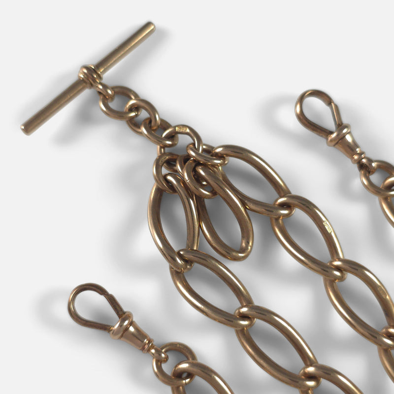 focused on a number of chain links and the dog clips and t-bar