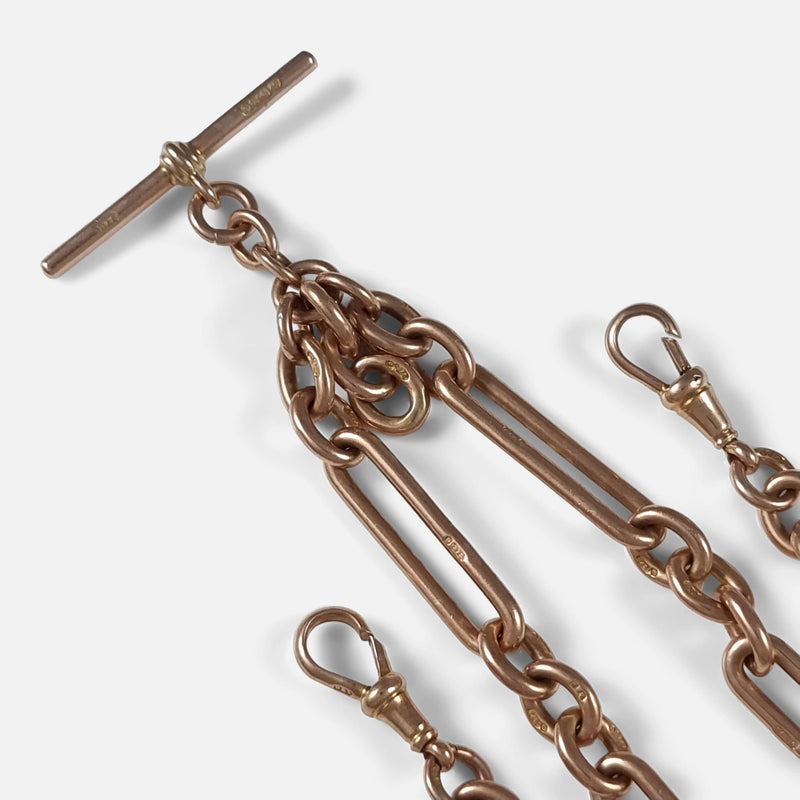a section of the chain in focus to include both dog clips and t-bar