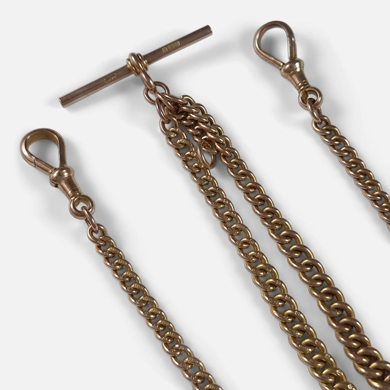 a section of the chain in focus to include both dog clips and t-bar