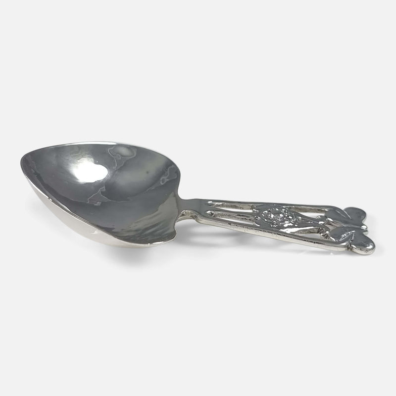 the caddy spoon viewed side on