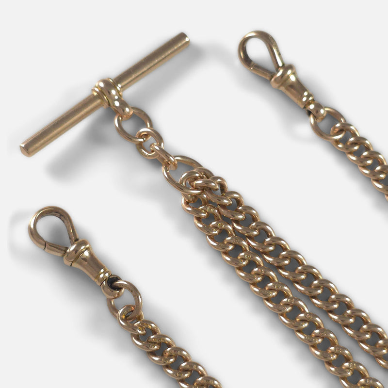 a section of the chain in focus to include both dog clips and the t-bar
