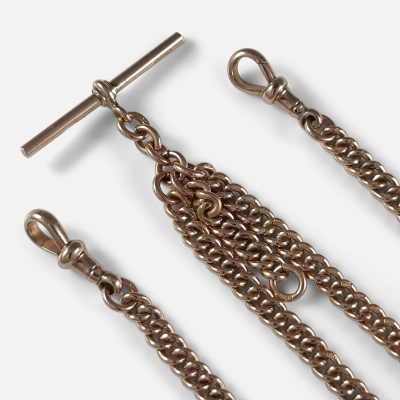 focused on sections of the chain to include both dog clips and t-bar