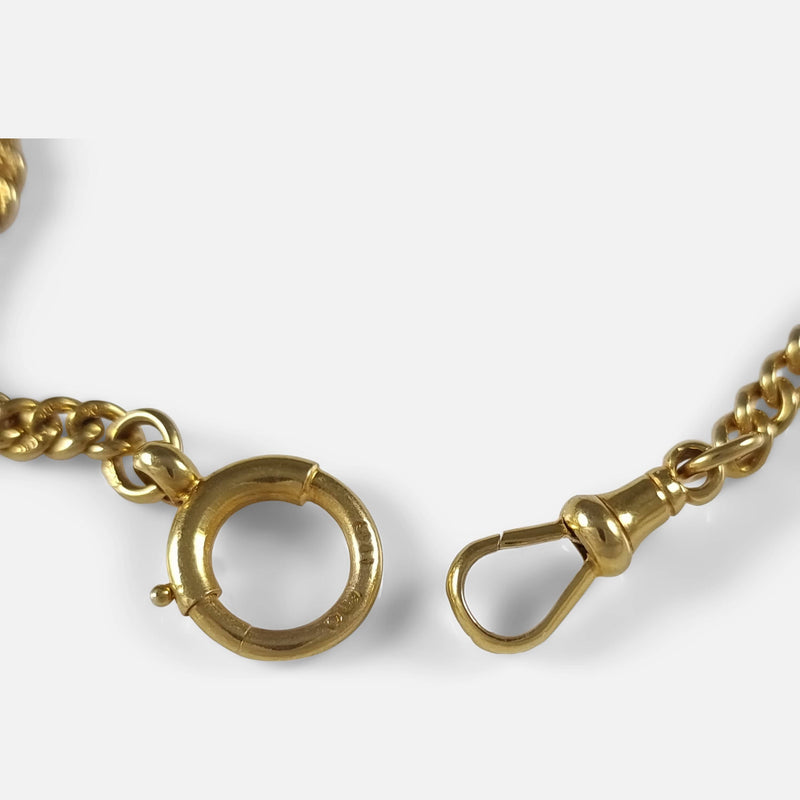 the dog clip and spring-ring clasp in focus