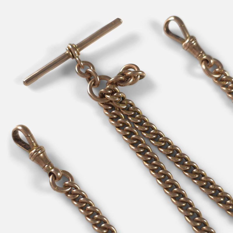 a section of the chain in focus to include both dog clips and t-bar
