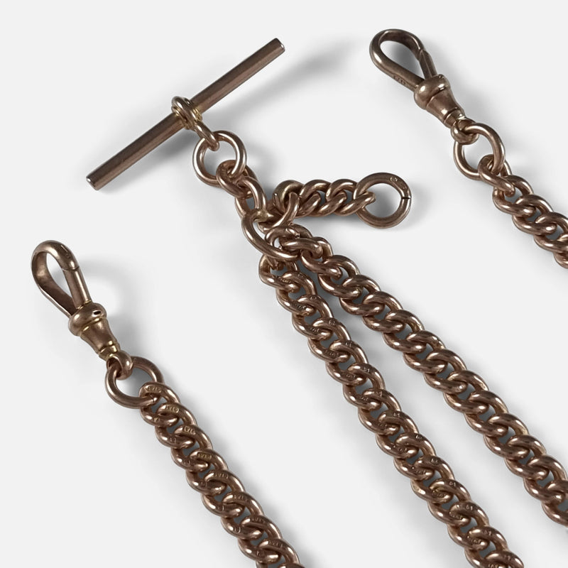 sections of the chain in focus to include the dog clips and T-bar