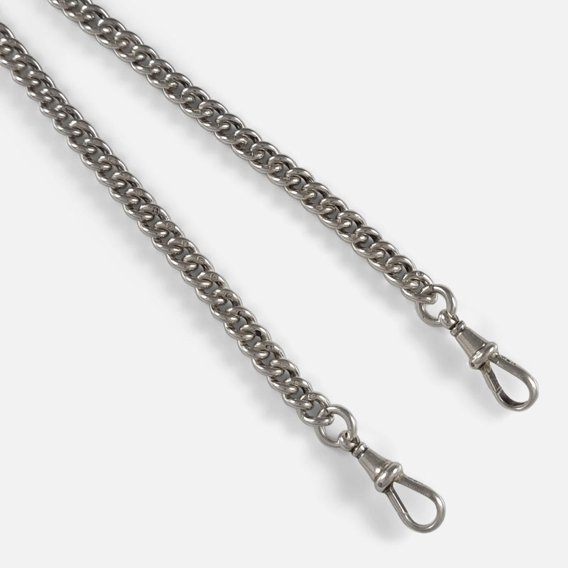 a section of the chain in focus to include both dog clips