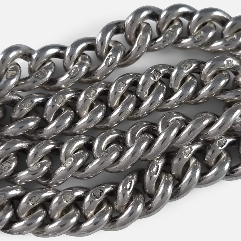 focused on a number of the chain links and their partial hallmarks