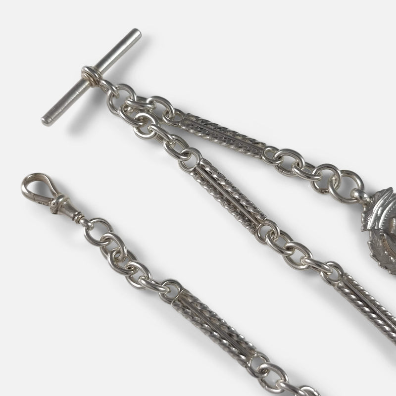 a section of the chain in focus to include T-bar and dog clip