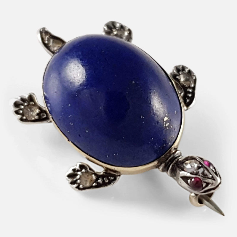 a birds eye view of the turtle brooch