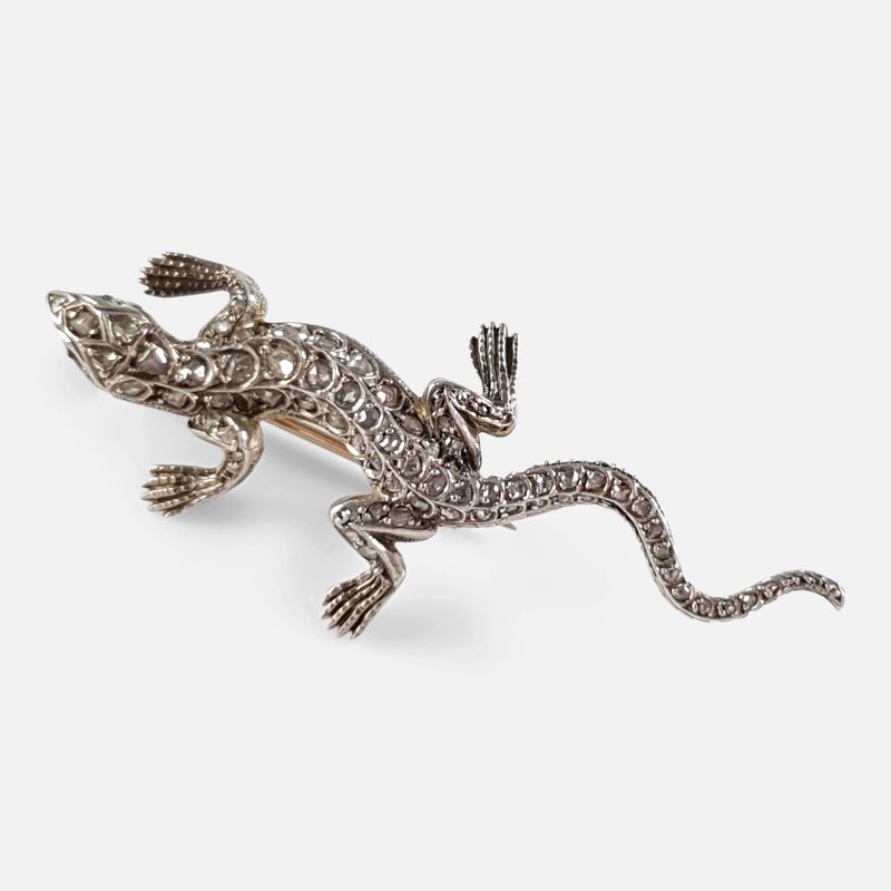 the lizard brooch viewed from above