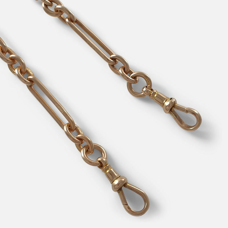 focused on a section of the chain to include the two dog clips