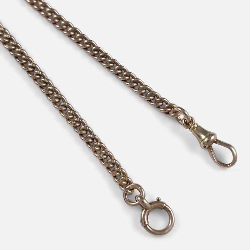a section of the chain in focus to include the dog clip and roll pin clasp