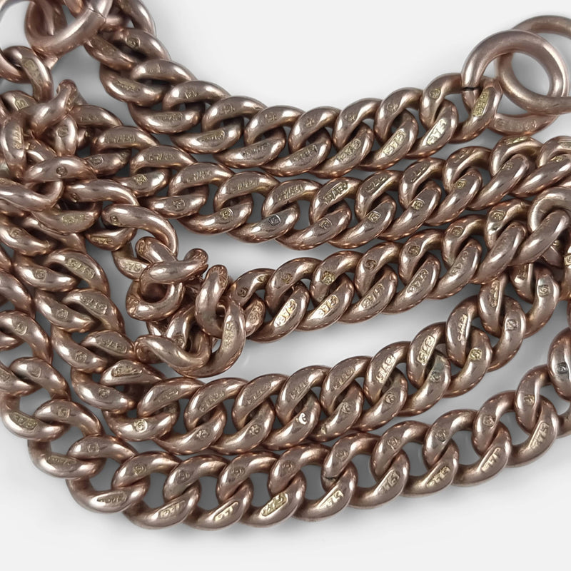 focused on the partial hallmarks to a number of the chain links
