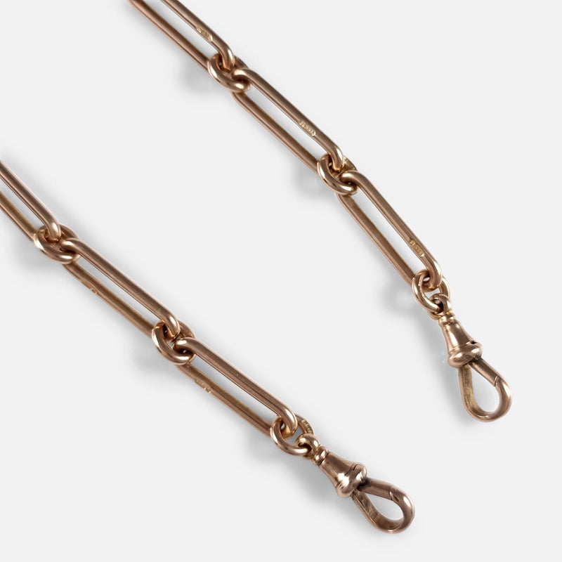 a section of the chain links to include the pair of dog clips