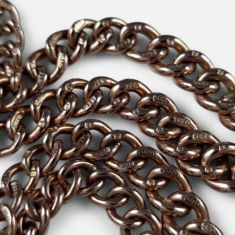 focused on the chain links