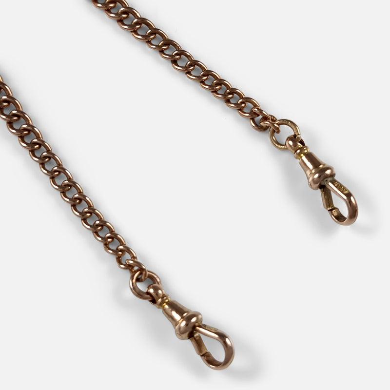 a section of the chain in focus to include the two dog clips
