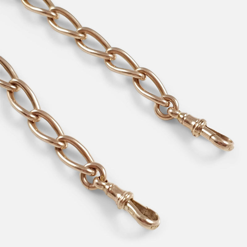 a section of the chain to include the dog clips