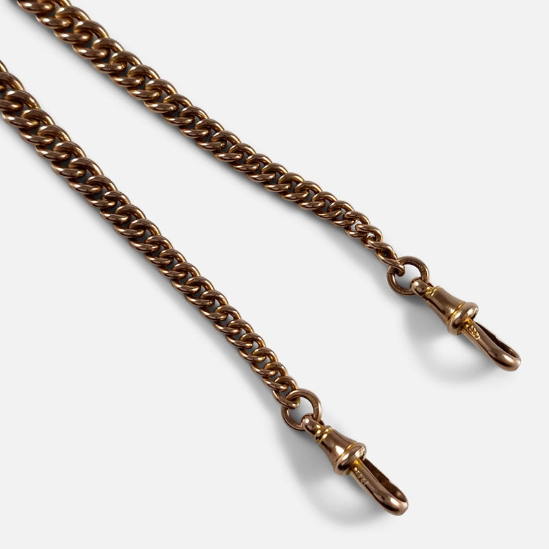 a section of the chain in focus to include the 2 dog clips