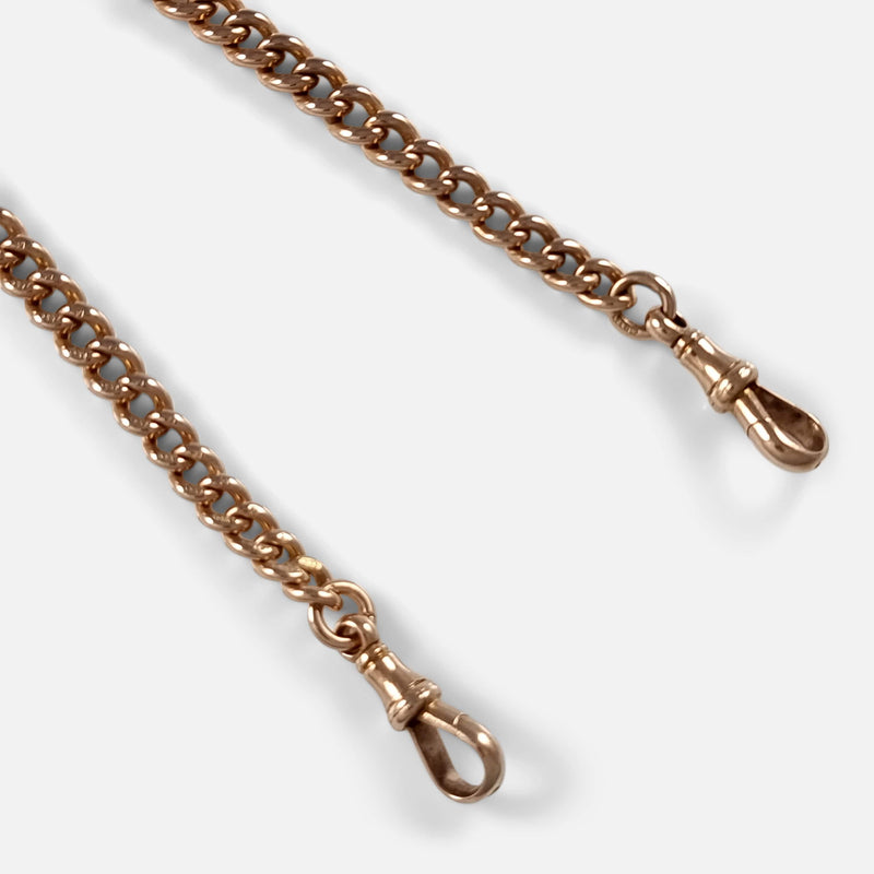 a section of the chain in focus to include the two dog clips