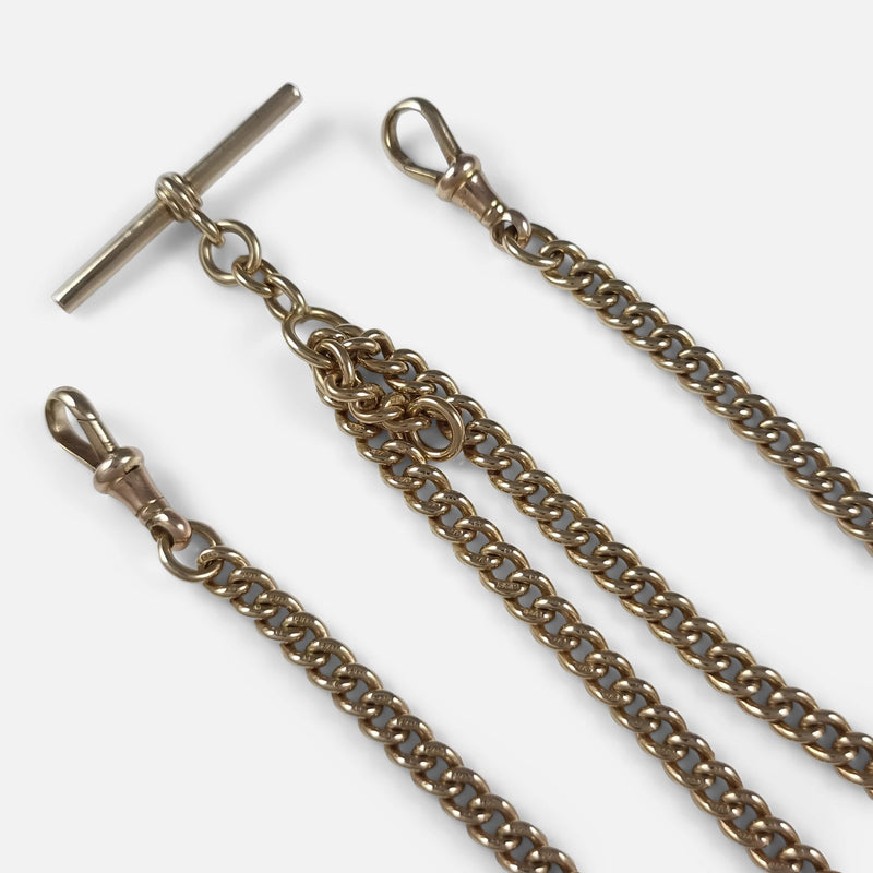 a section of the chain in focus to include the T-bar and both dog clips