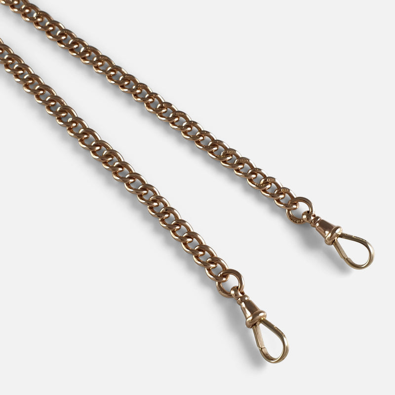 a section of the chain to include the dog clips