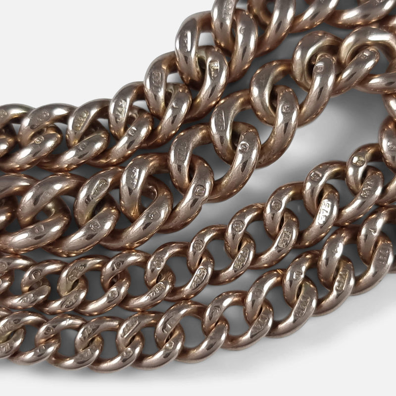 focused on a number of the chain links with partial hallmarks