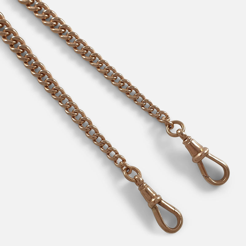 a section of the chain in focus to include dog clips