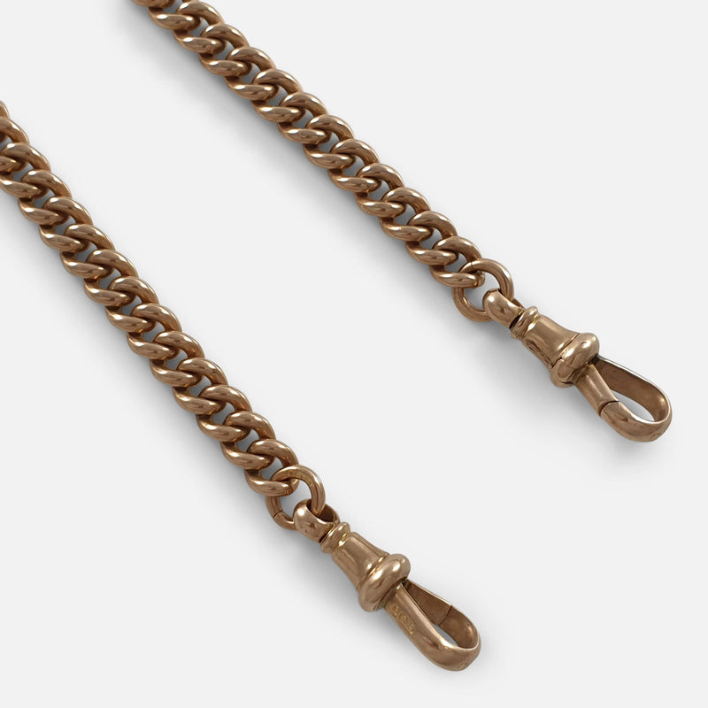 focused on a section of the chain to include the two dog clips