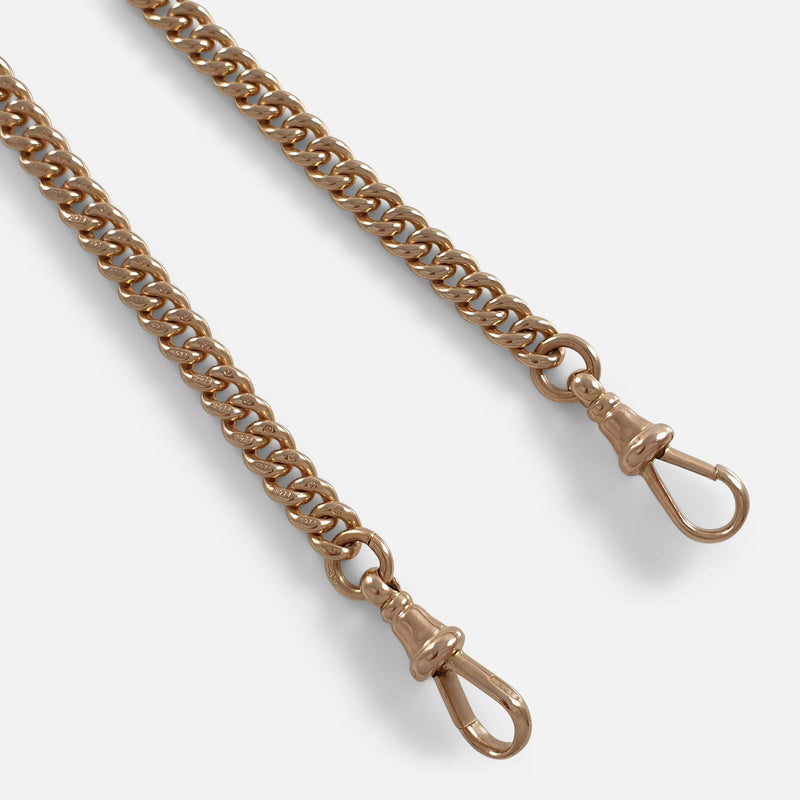 focused on a section of the chain to include the dog clips