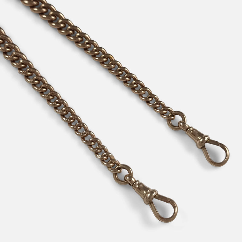 a section of the chain in focus to include the two dog clips