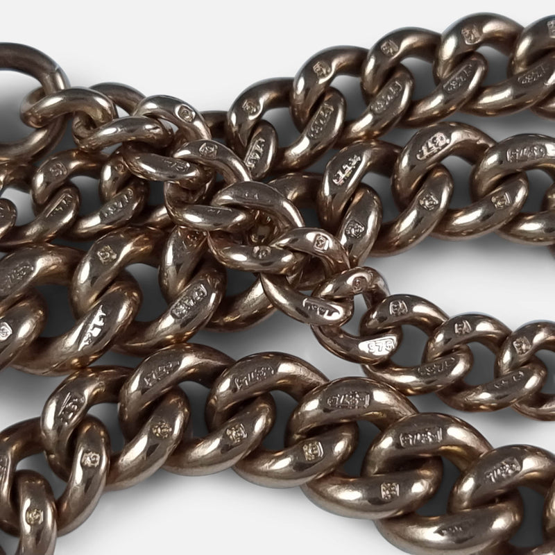 focused on the hallmarks to the chain links