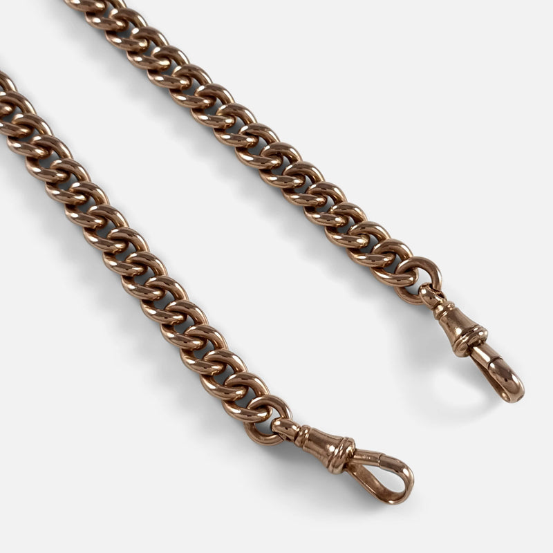 a section of the chain in focus to include the two dog clips