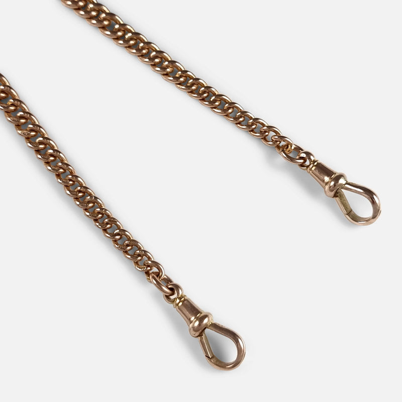focused on a section of the chain to include the dog clips