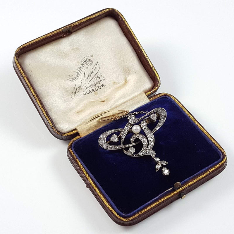 the brooch viewed in its case
