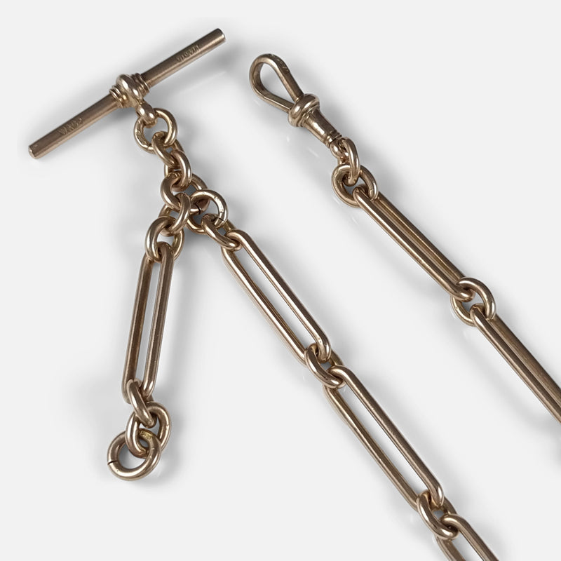 a section of the chain in focus to include the T-bar and dog clip