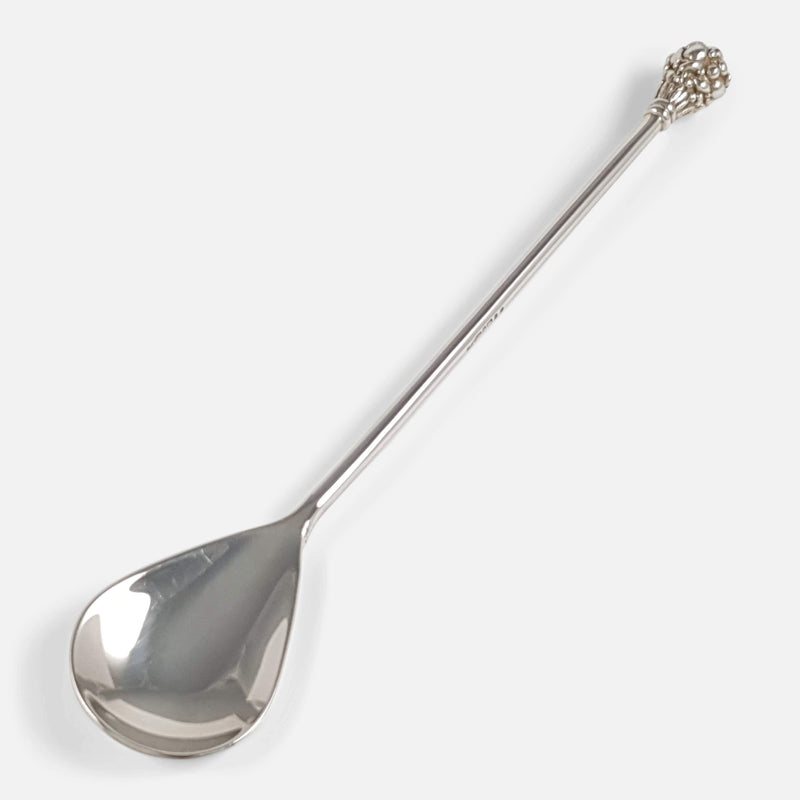 the spoon viewed diagonally with bowl to the forefront