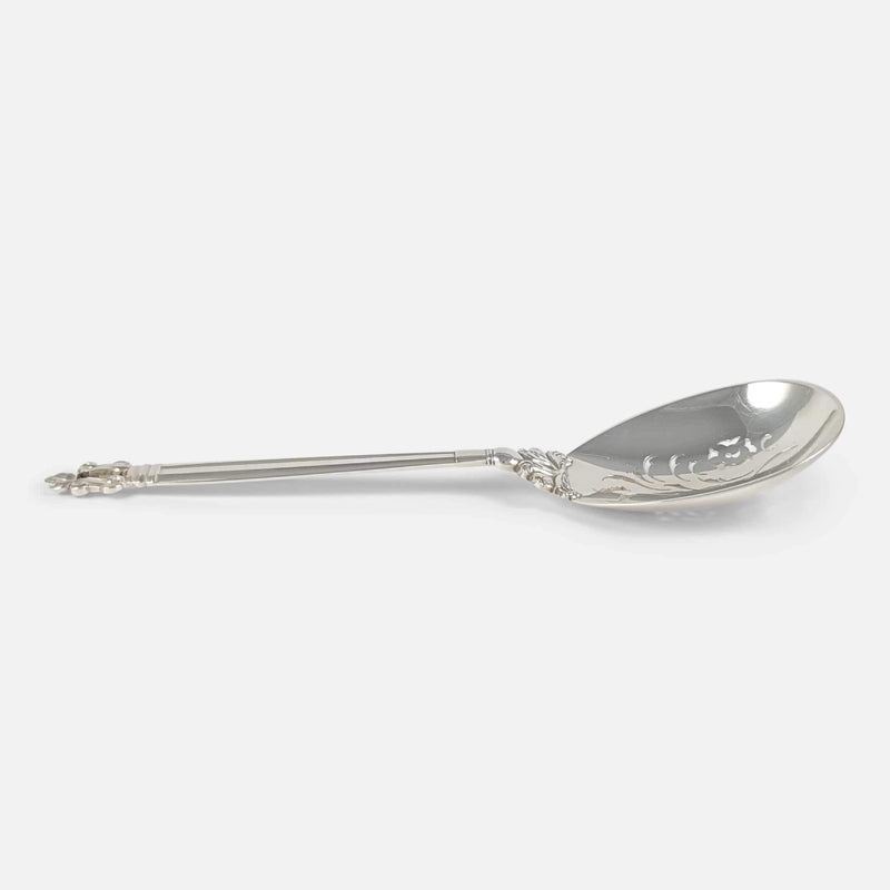 the silver berry spoon viewed side on