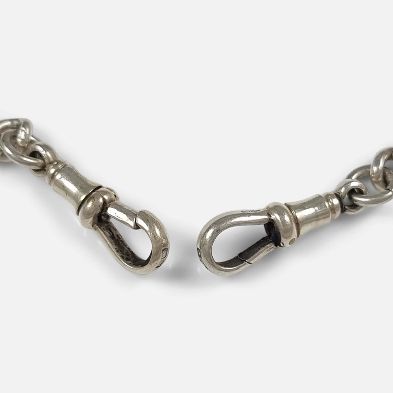 the two dog clips in focus