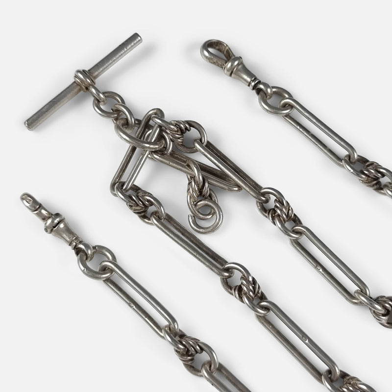 a section of the chain in focus to include T-bar and both dog clips