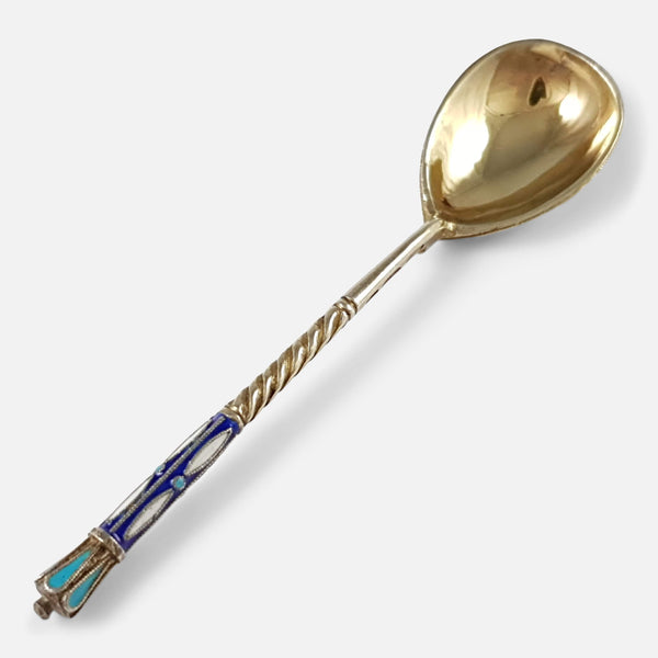 the spoon viewed diagonally with bowl face up towards the background