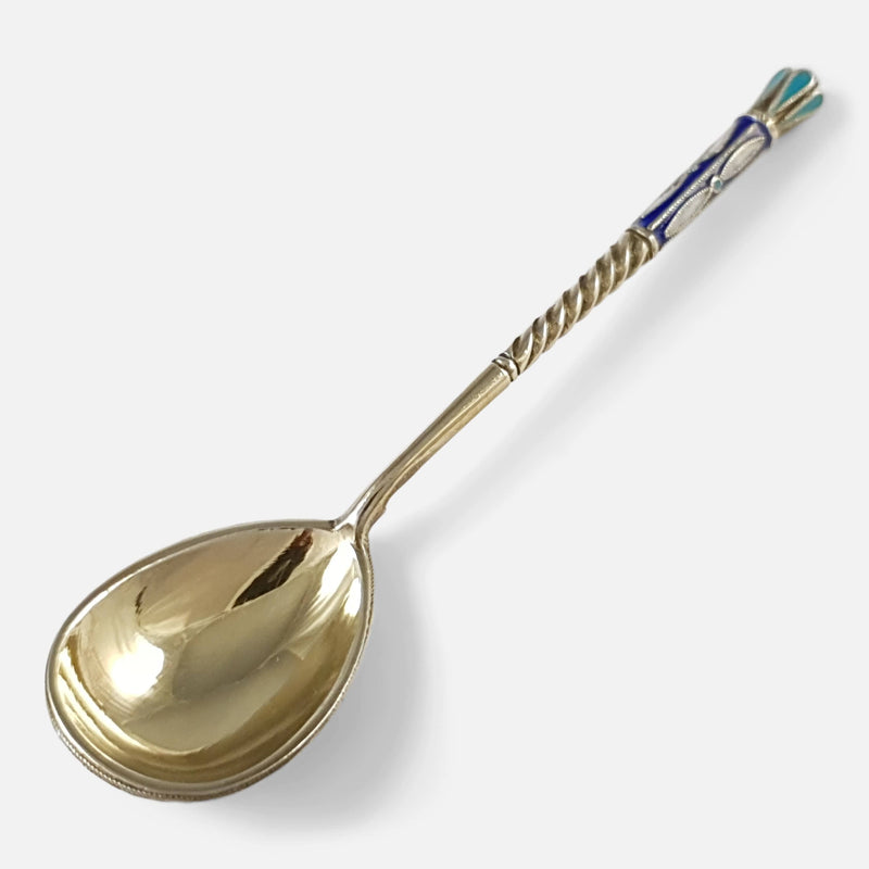 the spoon viewed diagonally