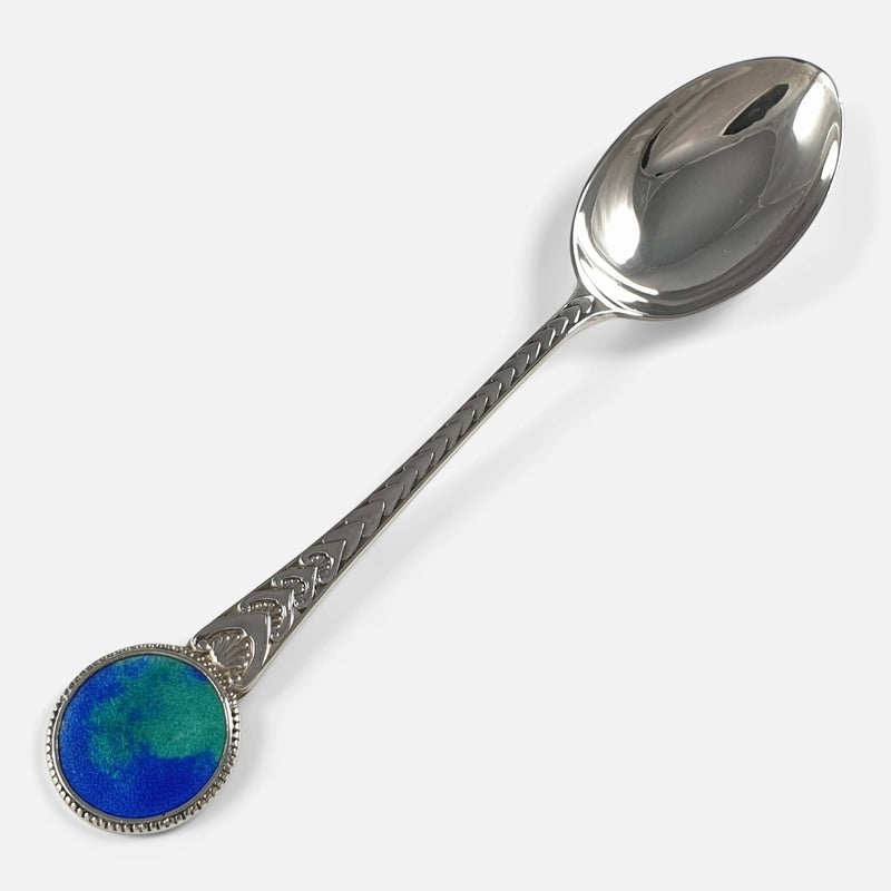 the spoon viewed diagonally
