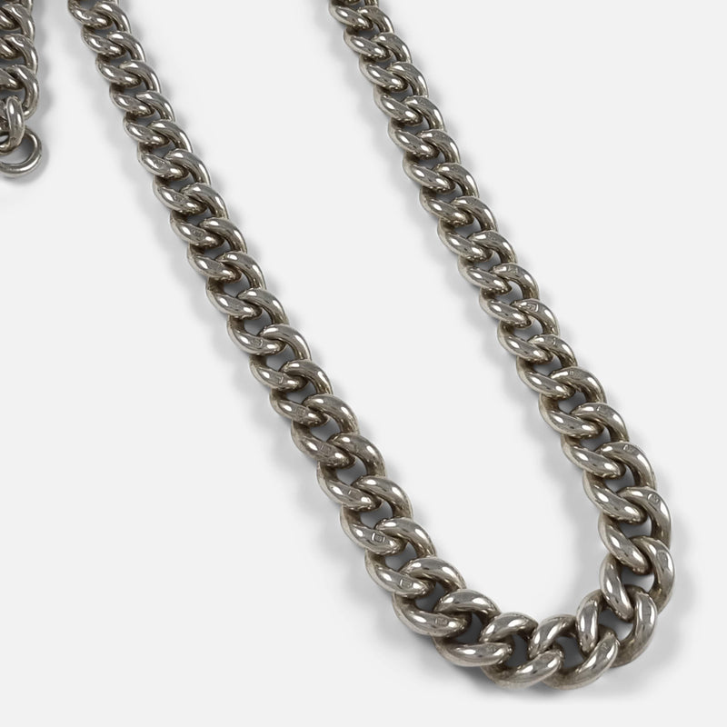 a section of the chain in focus