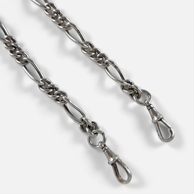 a section of the chain in focus to include the dog clips