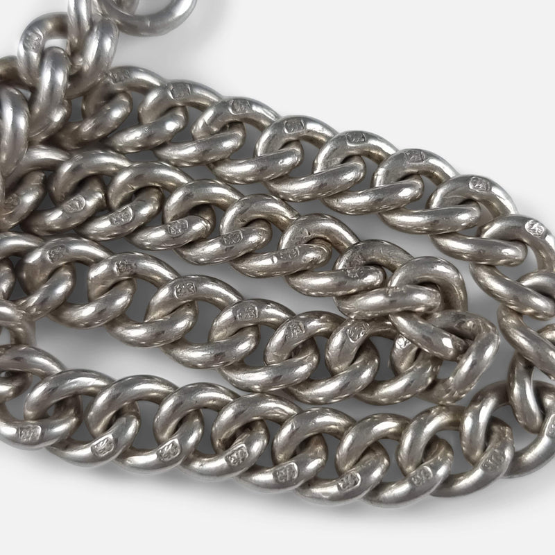 a number of chain links with lion passant marks