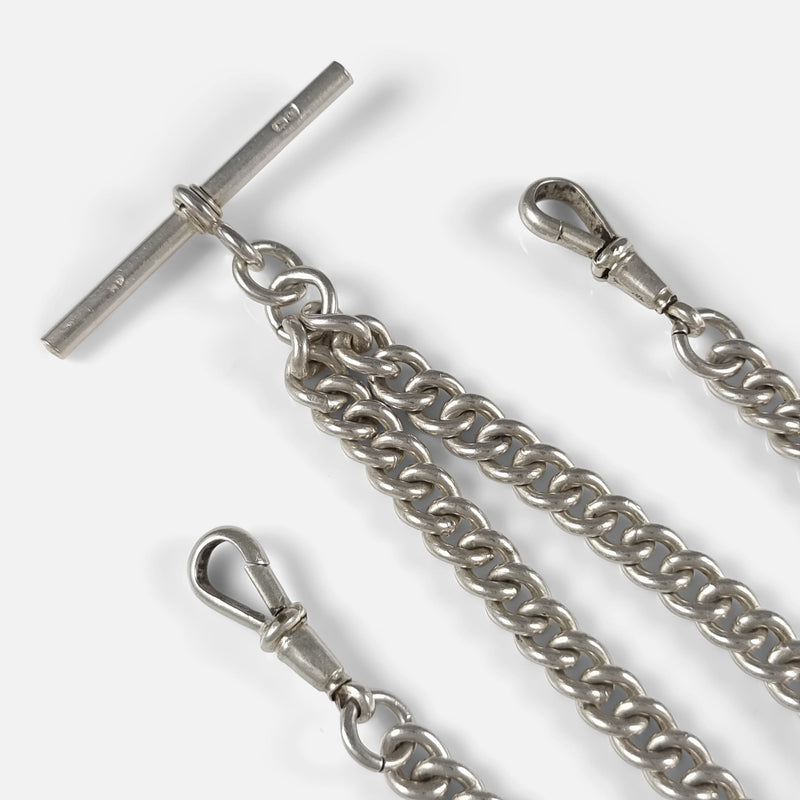 focused on a section of the chain with T-bar and both dog clips in picture