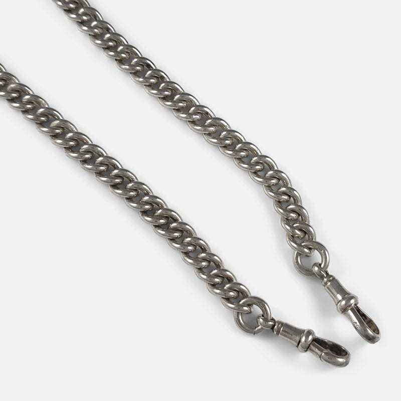 a section of the chain in focus to include the pair of dog clips