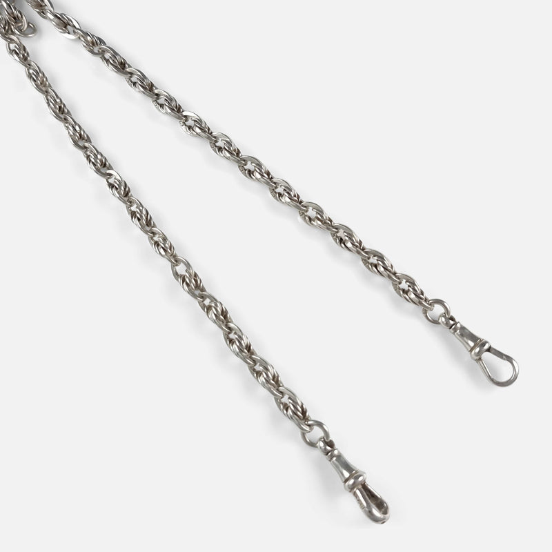 a section of the chain in focus to include the pair of dog clips