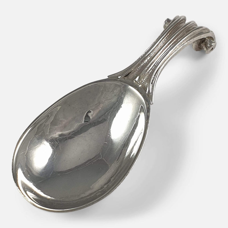 the tea caddy spoon viewed diagonally