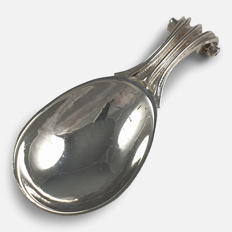 the caddy spoon viewed diagonally